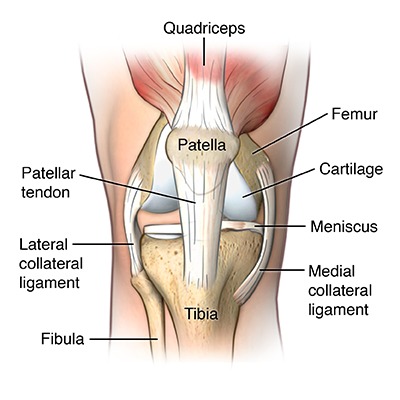 Image result for patellar tendonitis